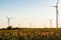 Wind turbines energy converters on yellow sunflowers field on sunset. Local eco friendly wind farm. Agriculture harvest Royalty Free Stock Photo