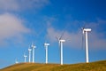 Wind turbines farm Royalty Free Stock Photo