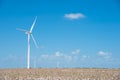 Wind turbines farm on cotton field at Corpus Christi, Texas, USA Royalty Free Stock Photo