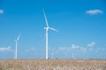 Wind turbines farm on cotton field at Corpus Christi, Texas, USA Royalty Free Stock Photo