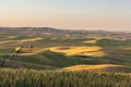 Wind Turbines farm in rolling wheat field in in Palouse region, Washington, USA Royalty Free Stock Photo