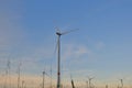 Wind turbines in field. Alternative energy sources. Natural energy.Environmentally friendly natural energy . Wind energy Royalty Free Stock Photo