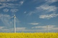 Wind turbines on field of oilseed Royalty Free Stock Photo