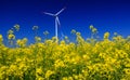 Wind turbines. Fields with windmills. Rapeseed field in bloom. Renewable energy. Protect the environment Royalty Free Stock Photo