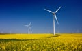 Wind turbines on fields with windmills in the Romanian region Dobrogea