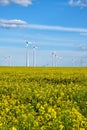 Wind turbines in a flowering canola field Royalty Free Stock Photo