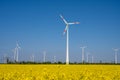 Wind turbines in a flowering canola field Royalty Free Stock Photo