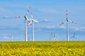 Wind turbines and a flowering canola field Royalty Free Stock Photo