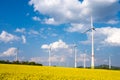 Wind turbines in a flowering canola field Royalty Free Stock Photo