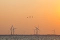 Wind turbines and geese in colorful sky