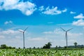 Wind turbines generate electricity on the corn field at Chaiyaphum. Royalty Free Stock Photo