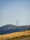 Wind turbines on a golden hill during summer