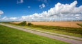 Wind turbines in a golden wheat field Royalty Free Stock Photo