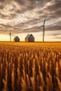 wind turbines in a golden wheat field Royalty Free Stock Photo