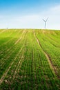 Wind turbines green field Royalty Free Stock Photo