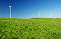 Wind turbines on a green field. Green energy