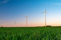 Wind turbines in green grass field against sky during sunset Royalty Free Stock Photo