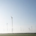 Wind turbines in green meadow near aurich in ostfriesland on misty morning in august