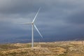 Wind turbines on the island as an ecological source of cheap energy