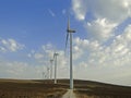 Wind turbines line lost hills.