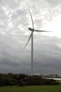 Wind turbines along the Noordzeeweg on the Rozenburg headland in the port of Rotterdam