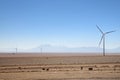 Wind turbines next to the road, Calama, Chile Royalty Free Stock Photo