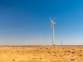 Wind turbines in the park of Tarfaya in Morocco