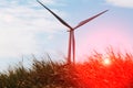 Wind turbines producing alternative energy Royalty Free Stock Photo