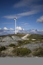 Wind turbines producing renewable electric energy