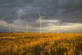 Wind turbines, pure energy,windmills in the fields