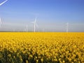 Wind turbines in a rapeseed field in champagne-ardenne