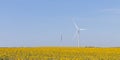 Wind turbines - renewable alternative energy source