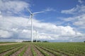 Wind turbines in soybean field on sunny day with clouds and blue