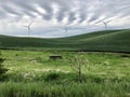 Wind turbines spinning on a windy day Royalty Free Stock Photo
