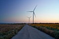 Wind turbines stand in a field of sunflowers, green energy Royalty Free Stock Photo