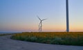 Wind turbines stand in a field of sunflowers, green energy Royalty Free Stock Photo