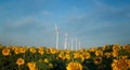 Wind turbines and sunflowers