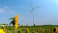 Wind turbines on sunny day in sunflower field. Renewable energy and agriculture Royalty Free Stock Photo