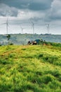 Wind turbines on sunny morning