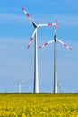 Wind turbines in a thriving rapeseed field Royalty Free Stock Photo