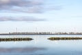 Wind turbines on a tranquil morning