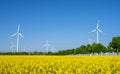 Wind turbines, trees and a flowering canola field Royalty Free Stock Photo