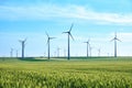 Wind turbines and vivid colors of green wheat field in the Spring on a blue sky, late afternoon. Concept for green energy. Royalty Free Stock Photo