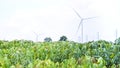 Wind turbines on the wind farm agricultural field. Electricity production industry, sustainable clean energy, environment concept