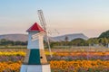 Wind Turbines Wood in winter of Field flower Royalty Free Stock Photo