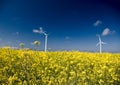 Wind turbines, yellow field.