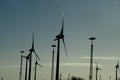 Wind turniens Fehmarn on Puttgarden in Germany Royalty Free Stock Photo