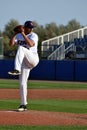 Wind up of Czech pitcher in the Super 6 game against the Spanish team