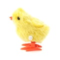 Wind Up Toy Chick