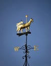 Wind vane Royalty Free Stock Photo